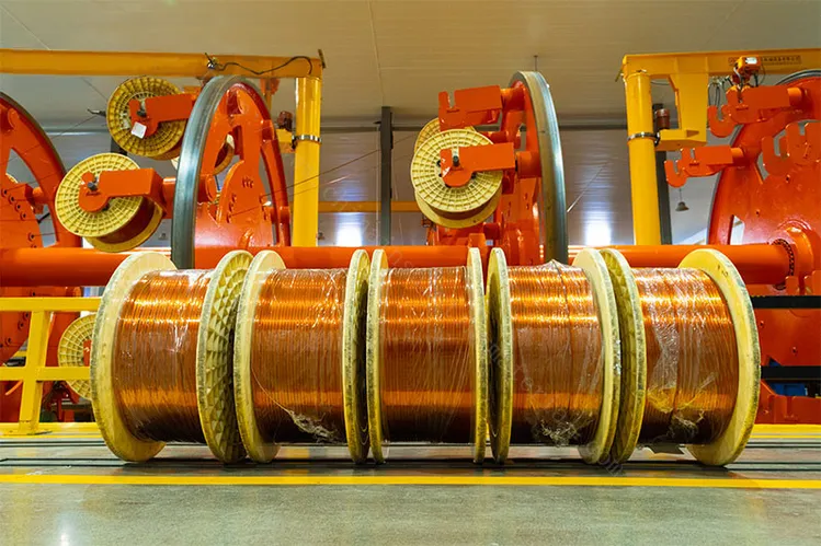 continuously transposed cable